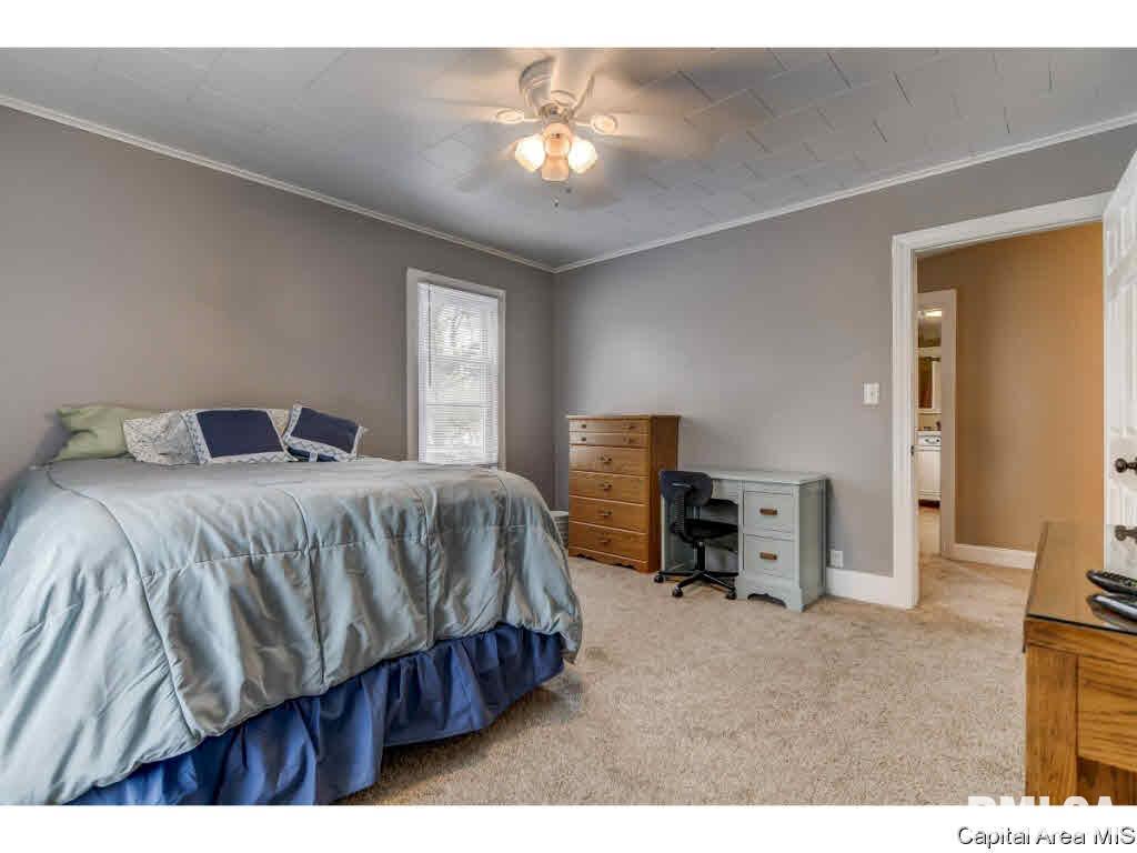 422 West Canedy Street Springfield, IL 62704 - Photo 18 of 34 Gallery Image 18