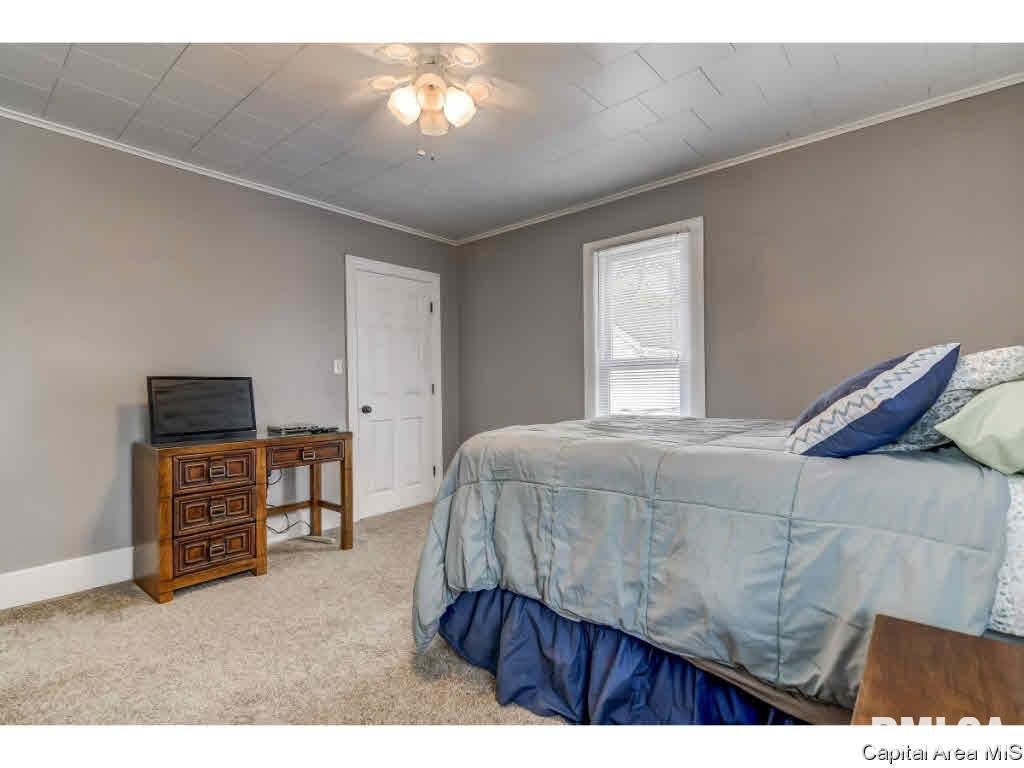 422 West Canedy Street Springfield, IL 62704 - Photo 19 of 34 Gallery Image 19