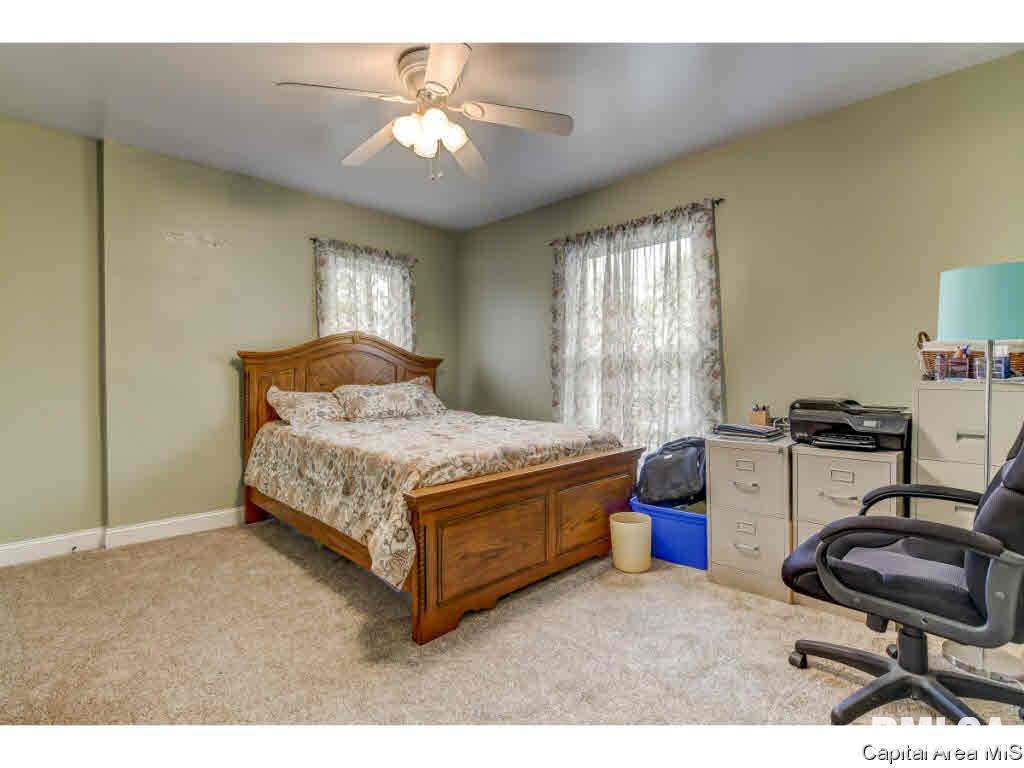 422 West Canedy Street Springfield, IL 62704 - Photo 20 of 34 Gallery Image 20