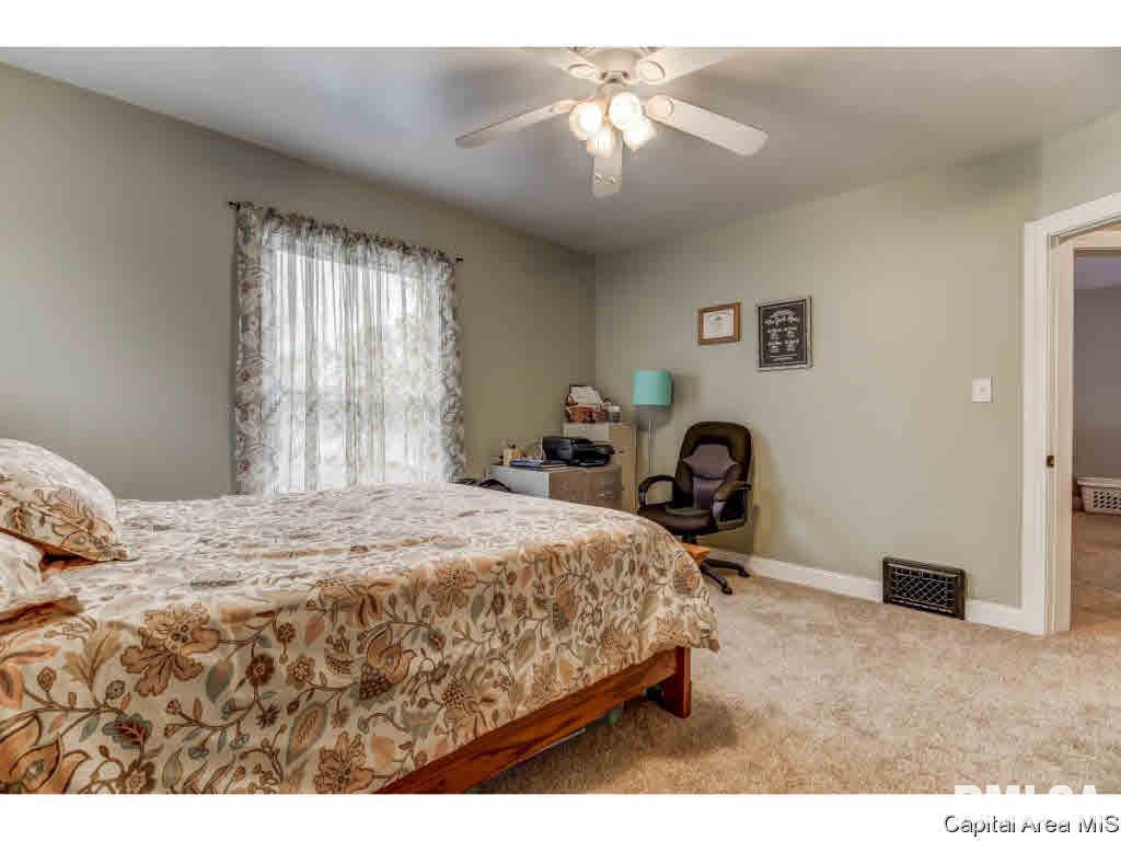 422 West Canedy Street Springfield, IL 62704 - Photo 21 of 34 Gallery Image 21