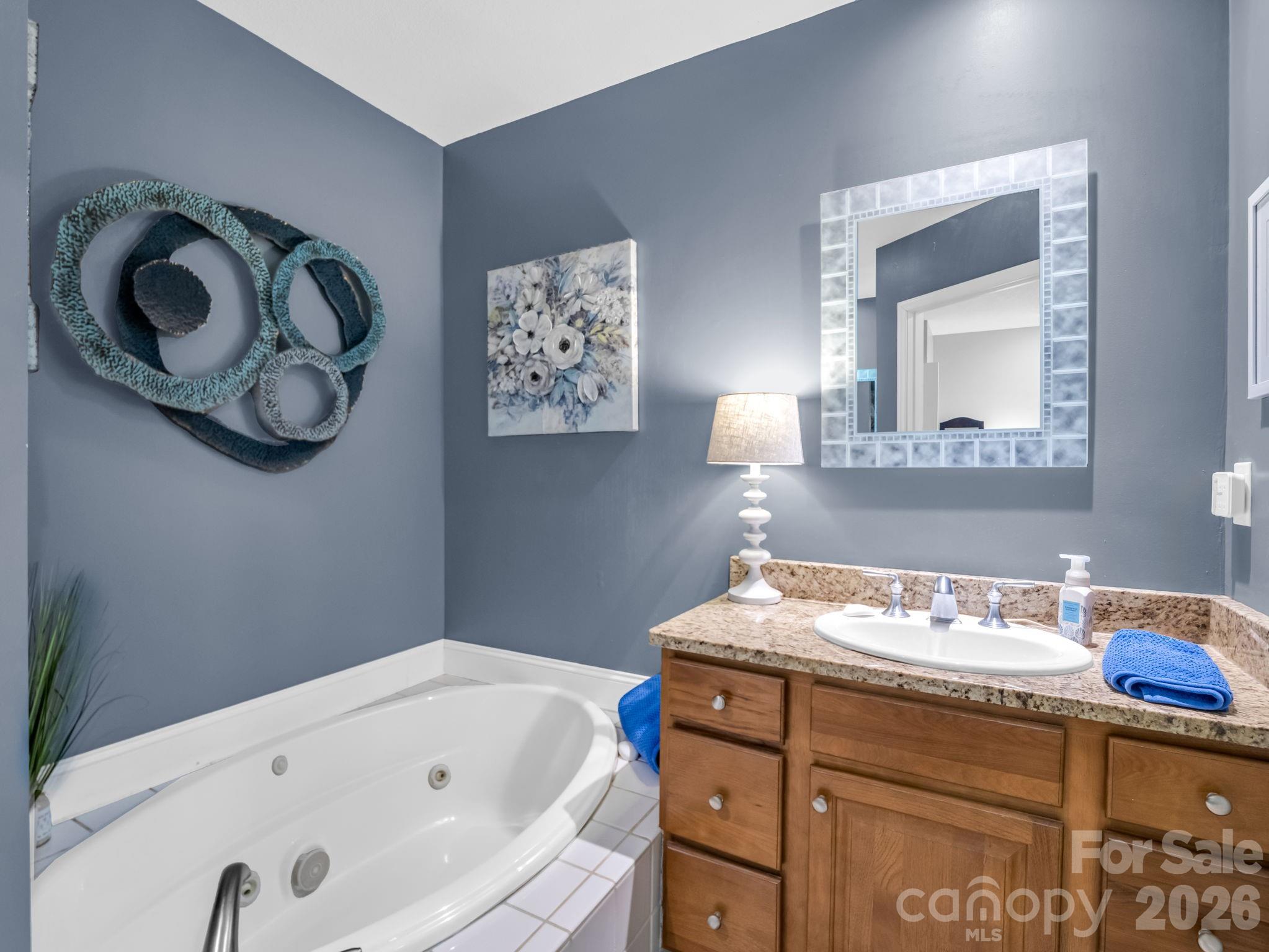 158 Shady Woods Lane Rutherfordton, NC 28139 - Photo 21 of 41 a bathroom with a tub sink and mirror