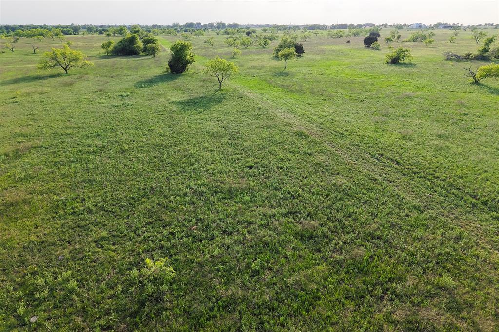 Tbd Rattler Hill Road McGregor, TX 76657 - Photo 8 of 18 Gallery Image 8