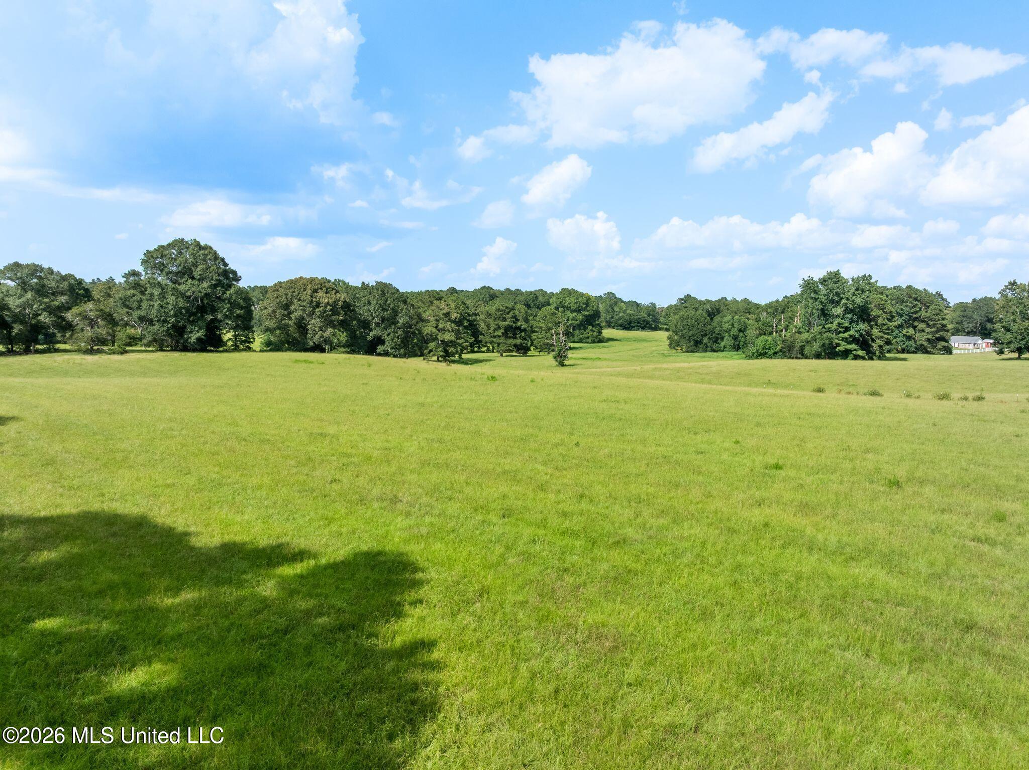 2111 Old Brookhaven Road Summit, MS 39666 - Photo 67 of 102 2111_Old_Brookhaven_Rd-91