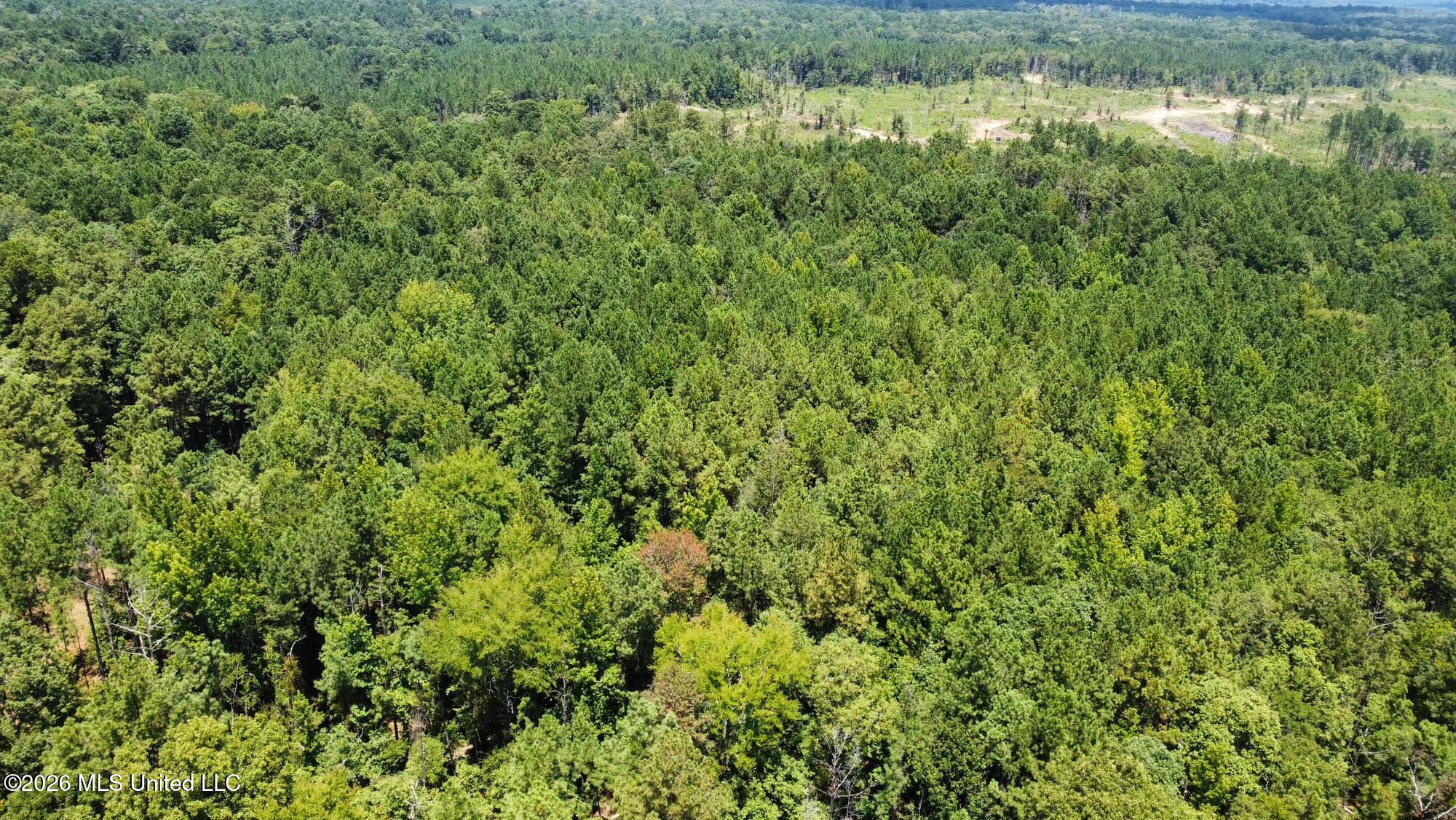 84 Highway 84 Roxie, MS 39661 - Photo 31 of 33 34