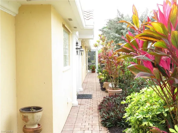 a view of a back yard