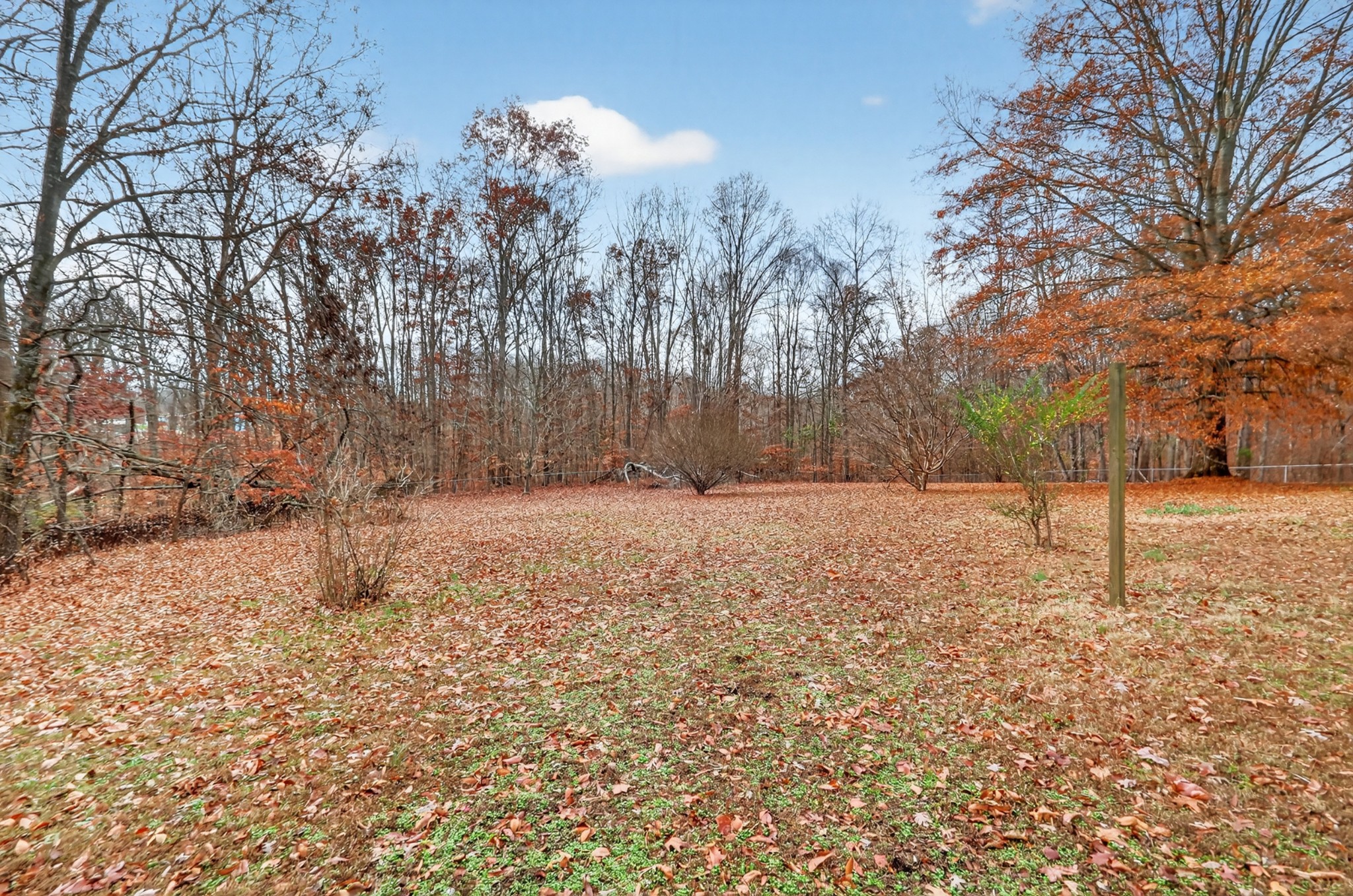 3024 Ivey Point Road Goodlettsville, TN 37072 - Photo 44 of 52 Gallery Image 44