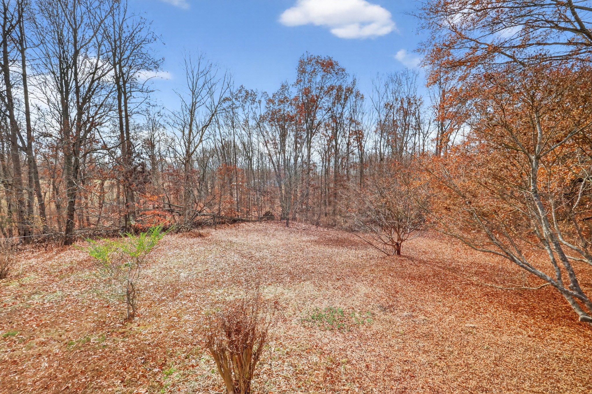 3024 Ivey Point Road Goodlettsville, TN 37072 - Photo 45 of 52 Gallery Image 45