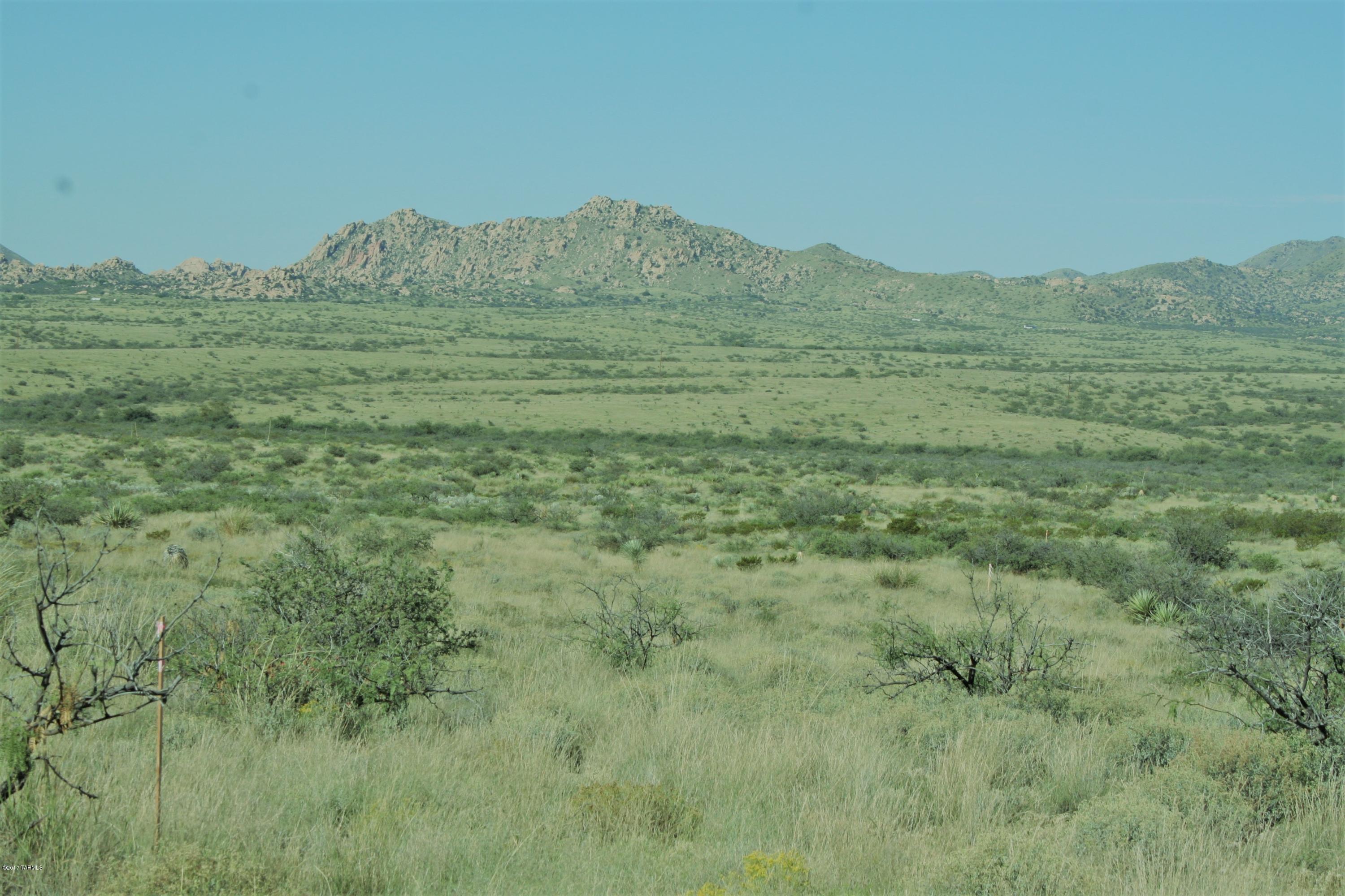 Tbd Victorio Road Dragoon, AZ 85609 - Photo 13 of 29