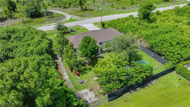 a view of a garden with a tree