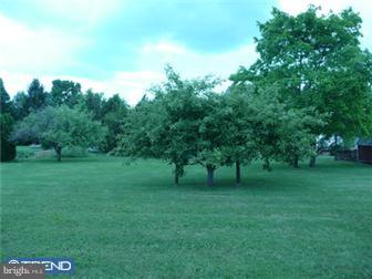 703 Tollgate Road Quakertown, PA 18951 - Photo 11 of 12 Gallery Image 11