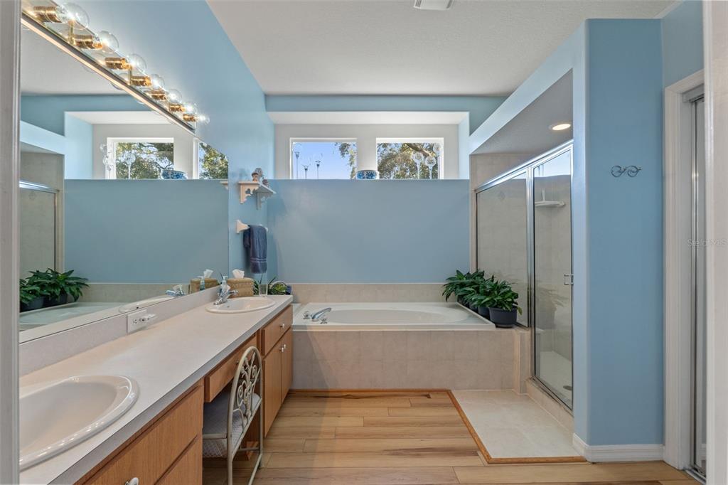 11405 Warm Wind Way Weeki Wachee, FL 34613 - Photo 28 of 46 a bathroom with a tub sink and mirror