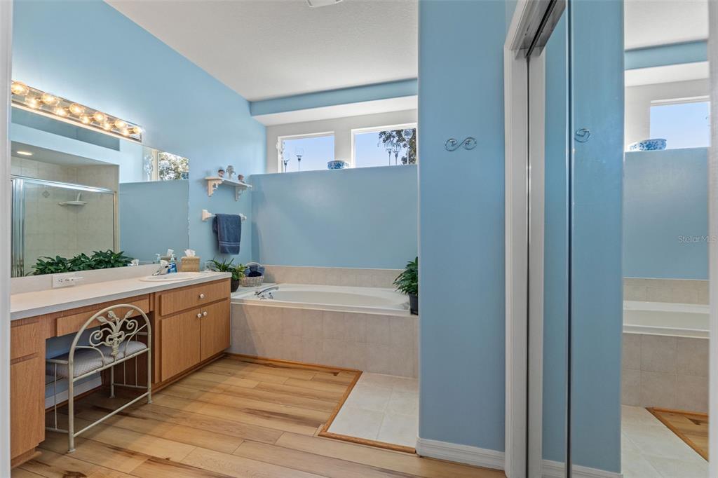 11405 Warm Wind Way Weeki Wachee, FL 34613 - Photo 29 of 46 a bathroom with a tub a sink and a large mirror