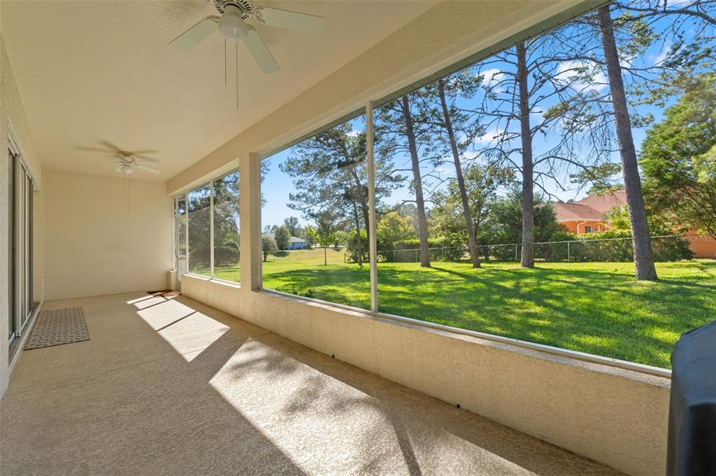 11405 Warm Wind Way Weeki Wachee, FL 34613 - Photo 40 of 46 a view of backyard with green space