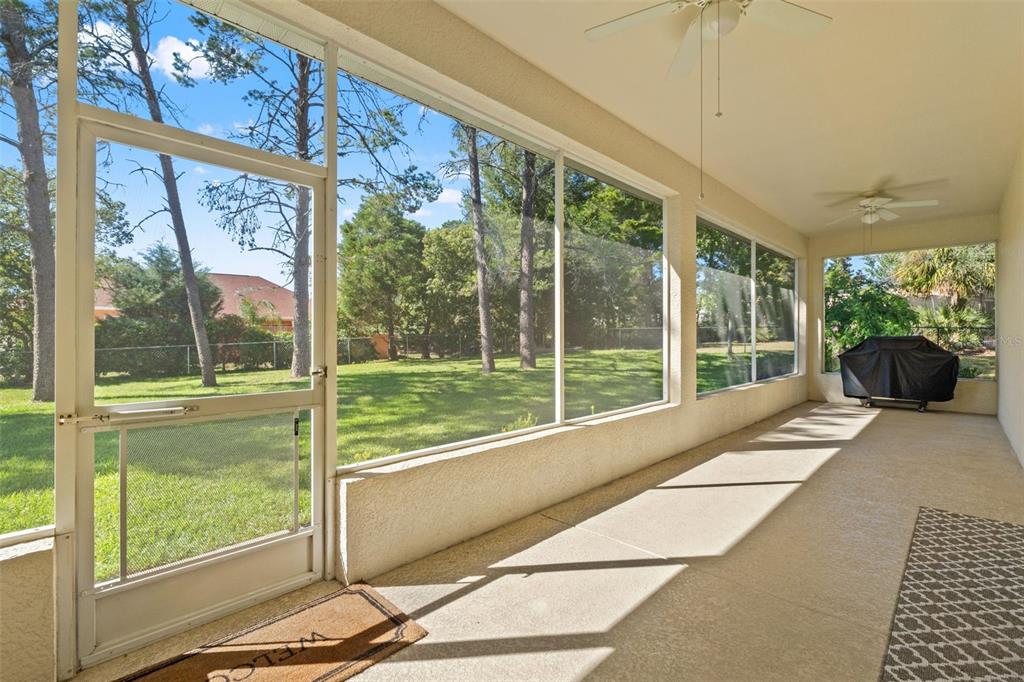 11405 Warm Wind Way Weeki Wachee, FL 34613 - Photo 41 of 46 a view of a garden from a windows