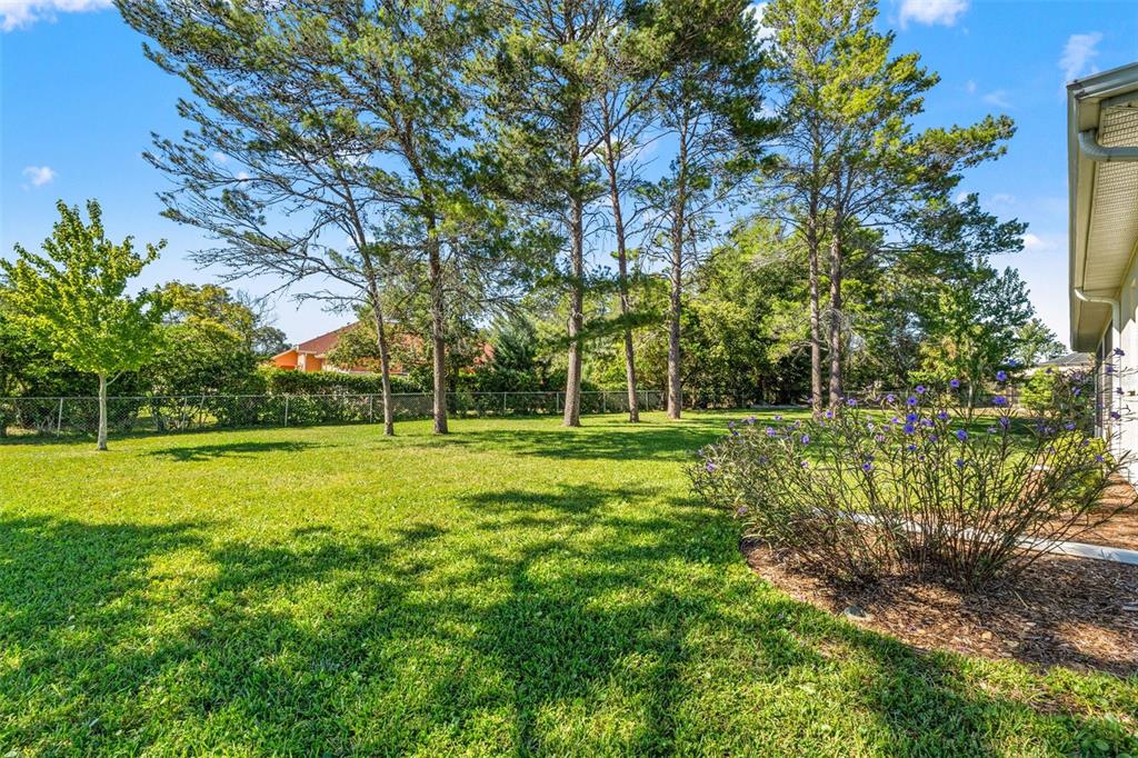 11405 Warm Wind Way Weeki Wachee, FL 34613 - Photo 43 of 46 a view of a park with large trees