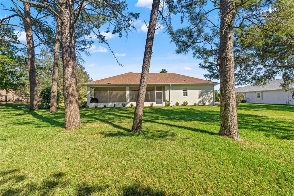11405 Warm Wind Way Weeki Wachee, FL 34613 - Photo 44 of 46 a view of a house with backyard and a tree
