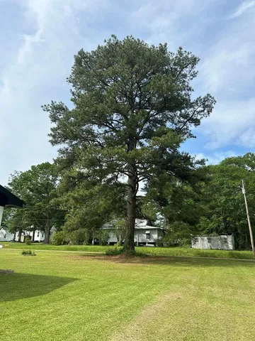 $135,000 | 202 Amite Street, Osyka, MS 39657