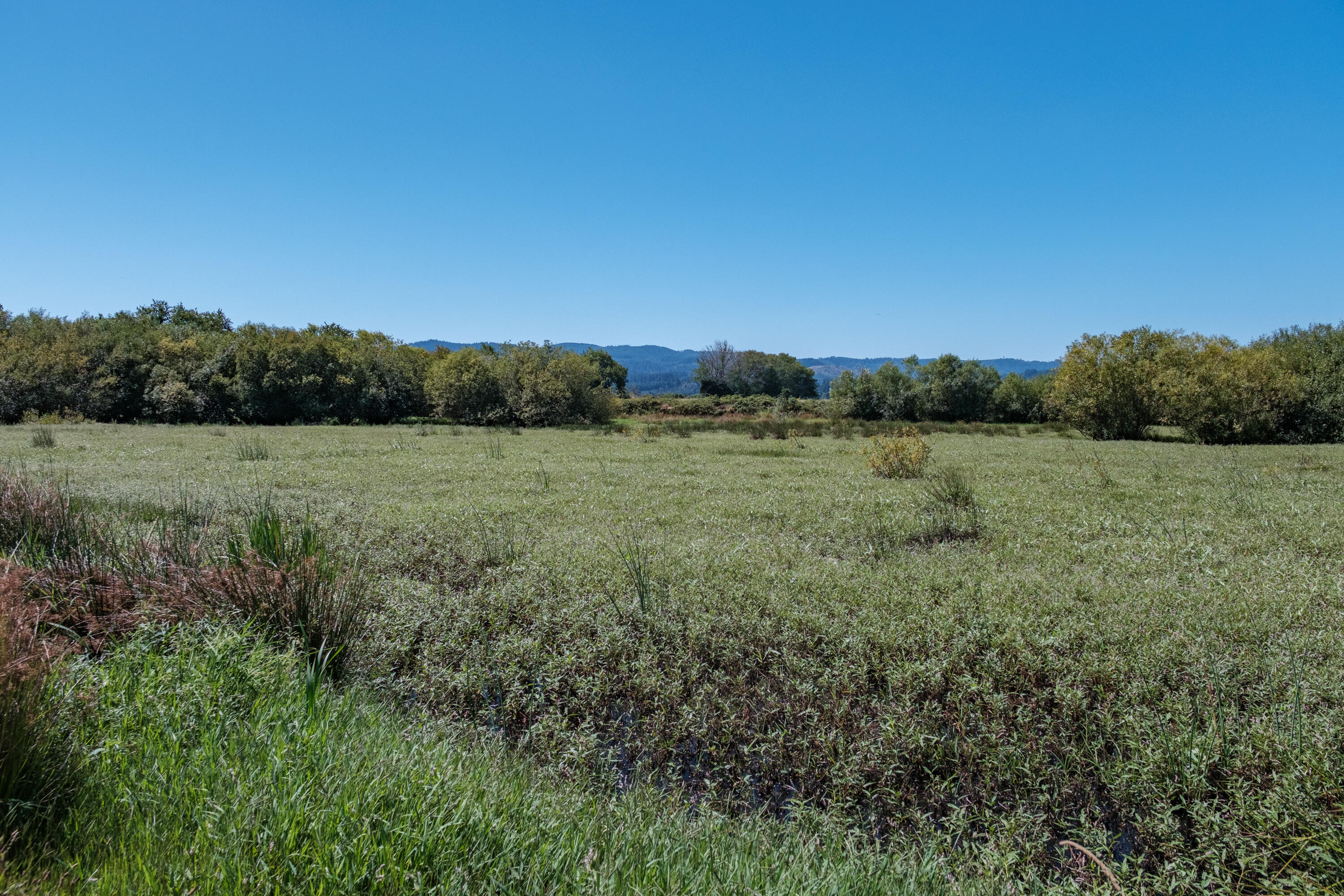 0 Duck Club Scappoose, OR 97056 - Photo 32 of 33