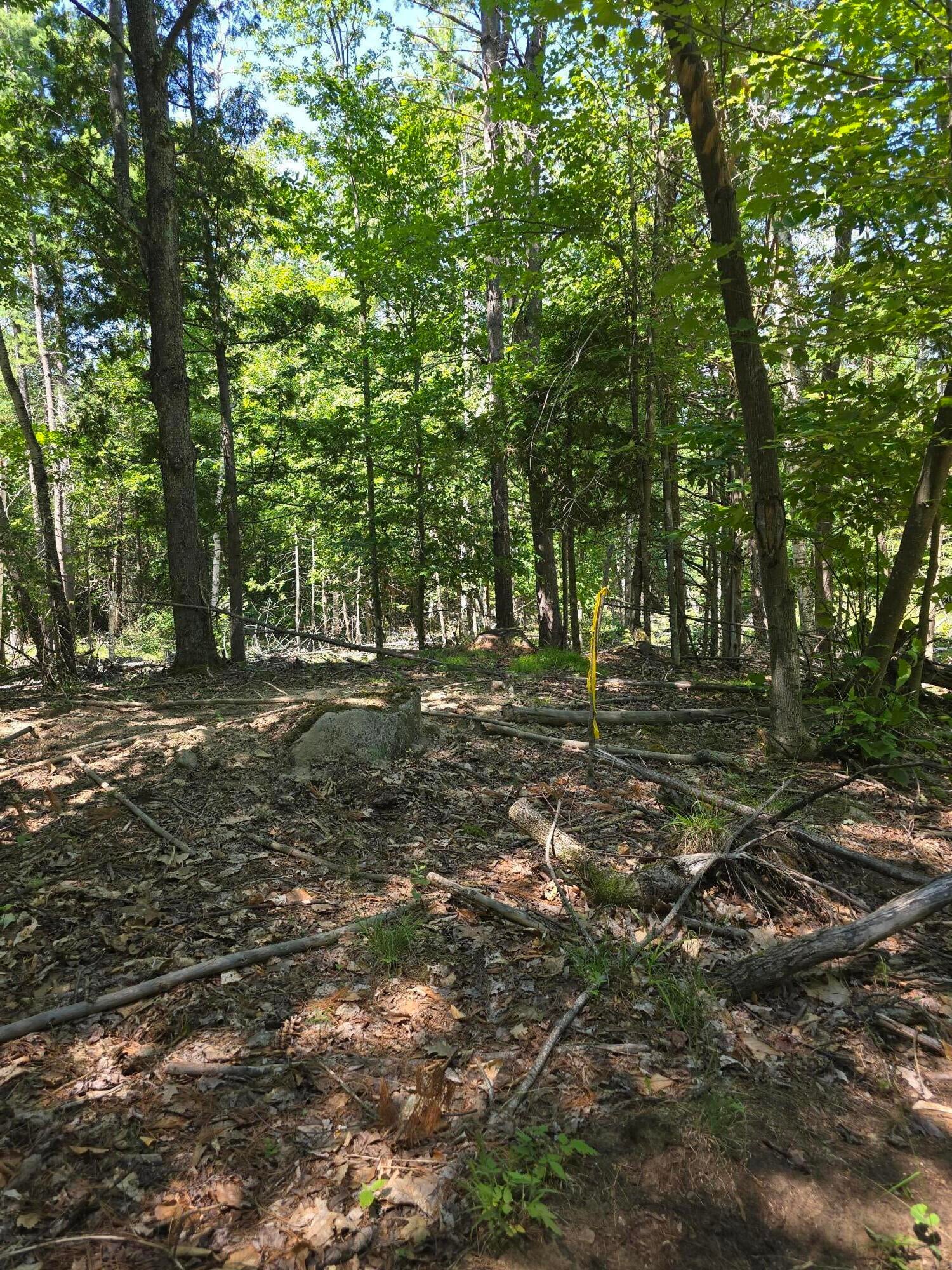 520 Trumbulls Road Upper Jay, NY 12987 - Photo 10 of 10 Gallery Image 10