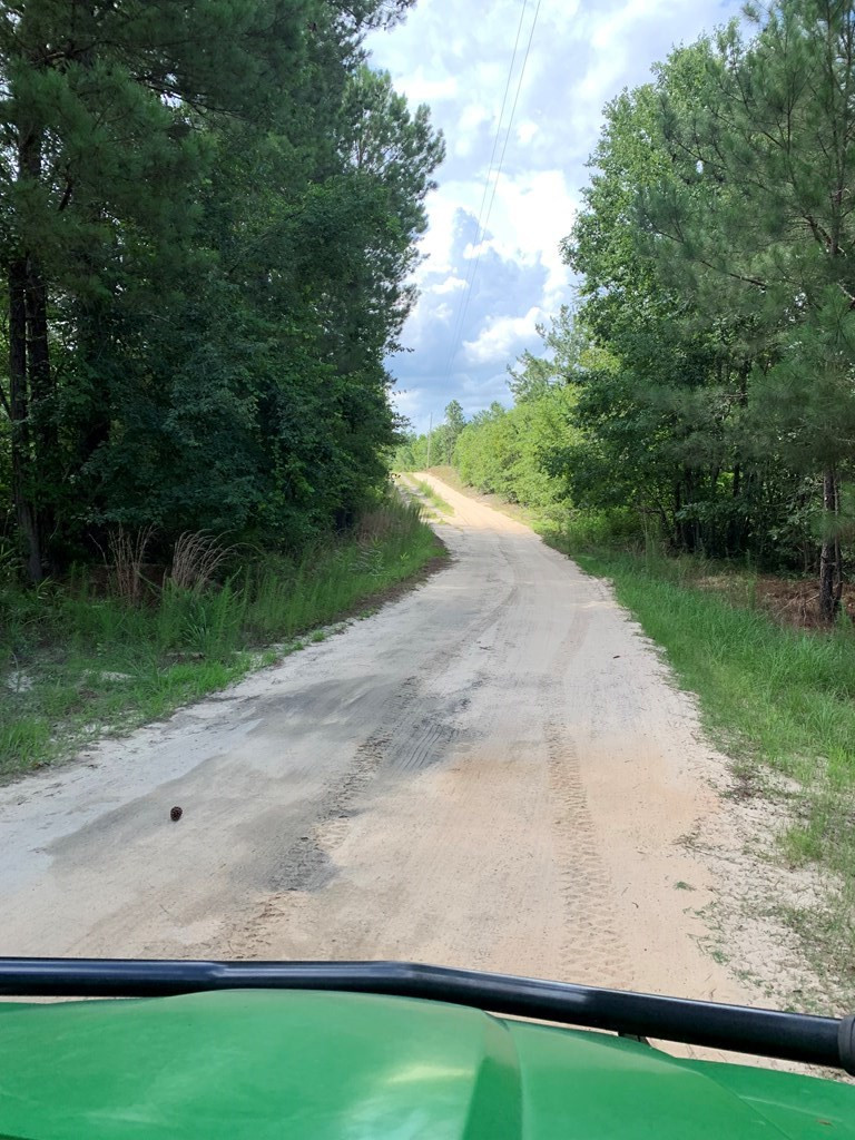 0 Paul Road Monetta, SC 29105 - Photo 11 of 14