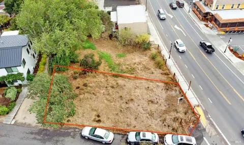 a view of a yard with plants