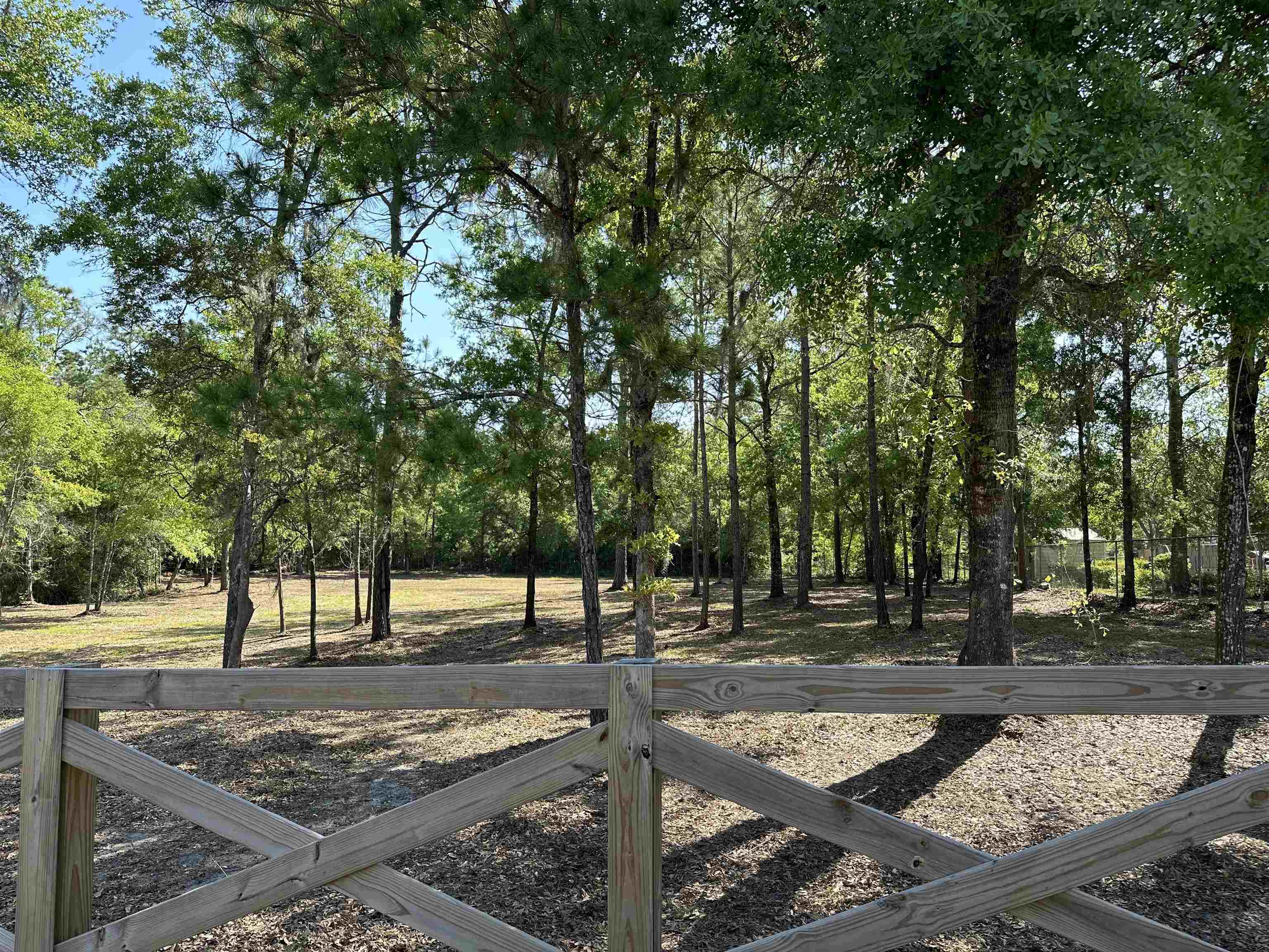 Xx Metcalf Road Crawfordville, FL 32327 - Photo 2 of 5