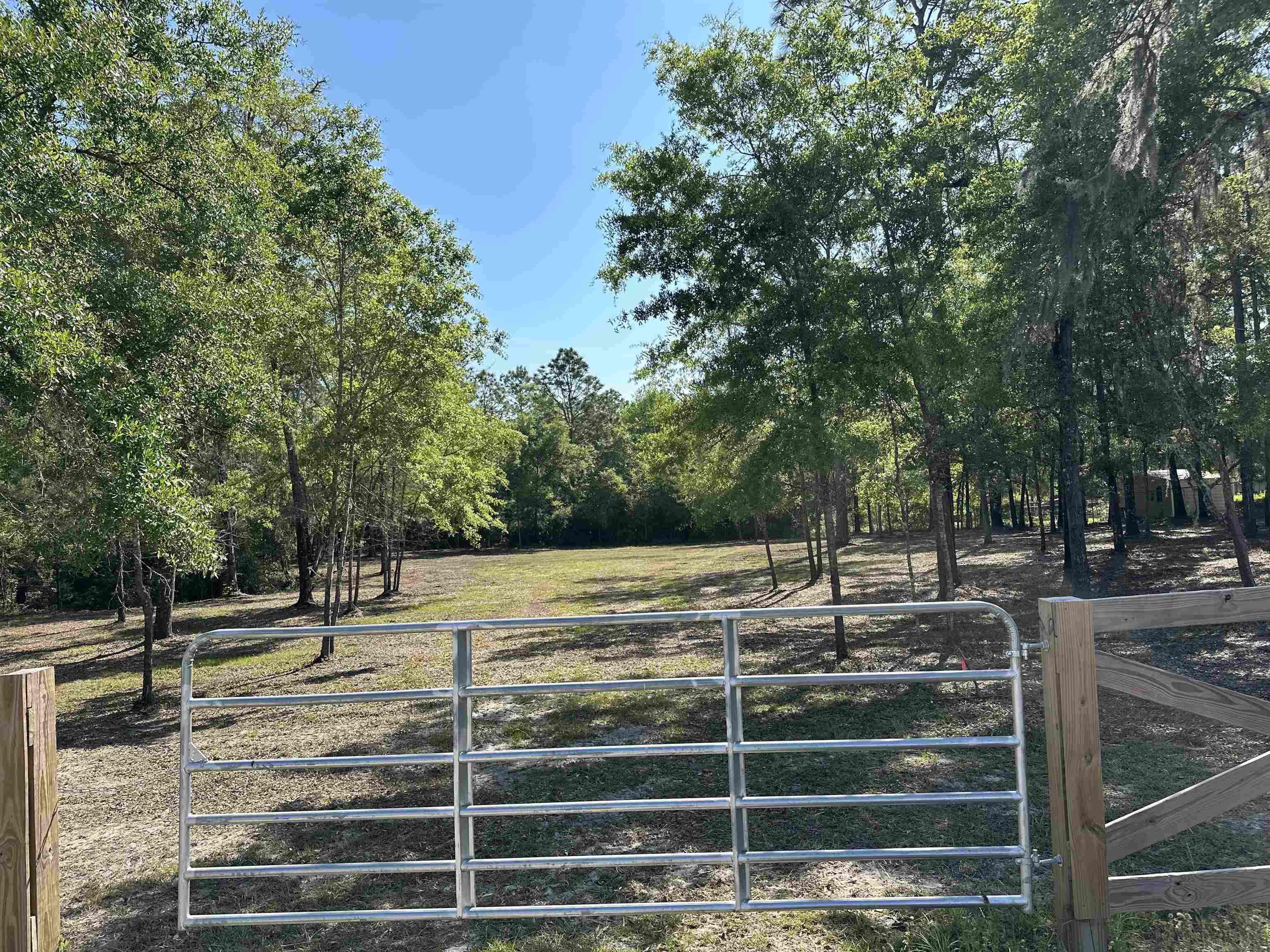 Xx Metcalf Road Crawfordville, FL 32327 - Photo 3 of 5