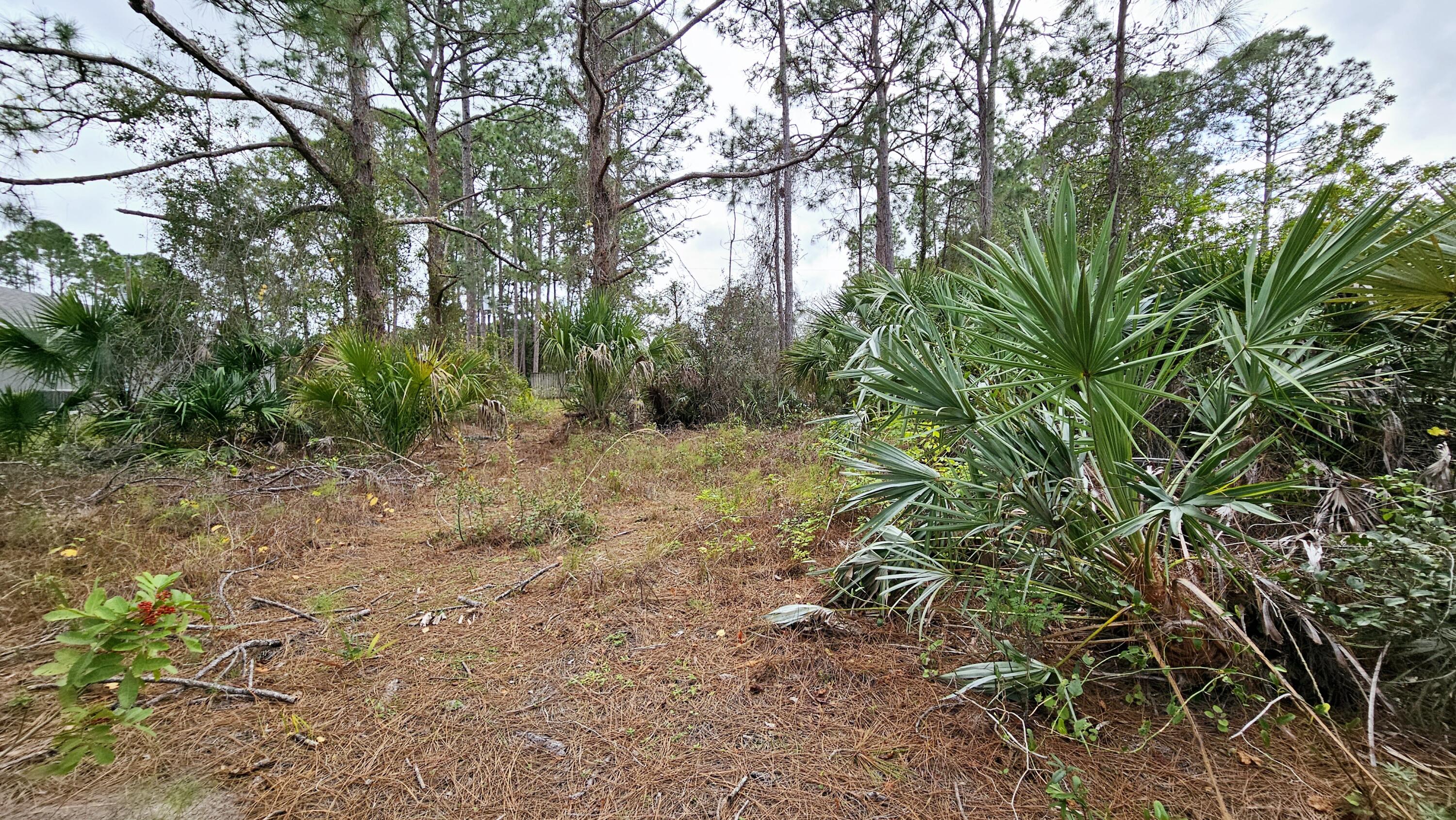 534 Waterside Road Southeast Palm Bay, FL 32909 - Photo 2 of 5 Build your dream home!