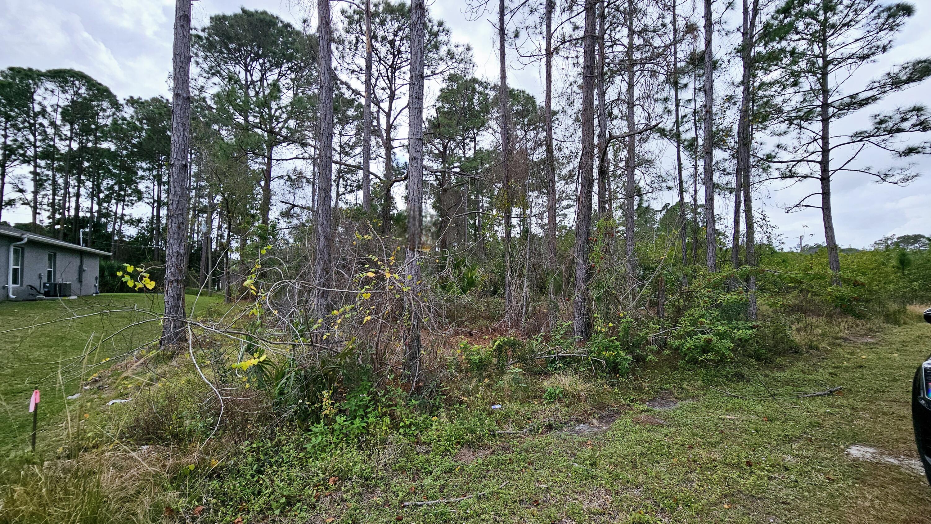 534 Waterside Road Southeast Palm Bay, FL 32909 - Photo 3 of 5 534 Waterside Rd