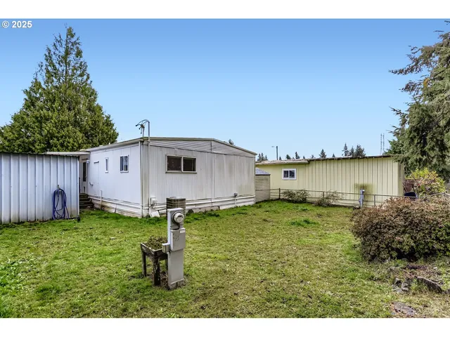 a backyard with a table and chairs and a large tree