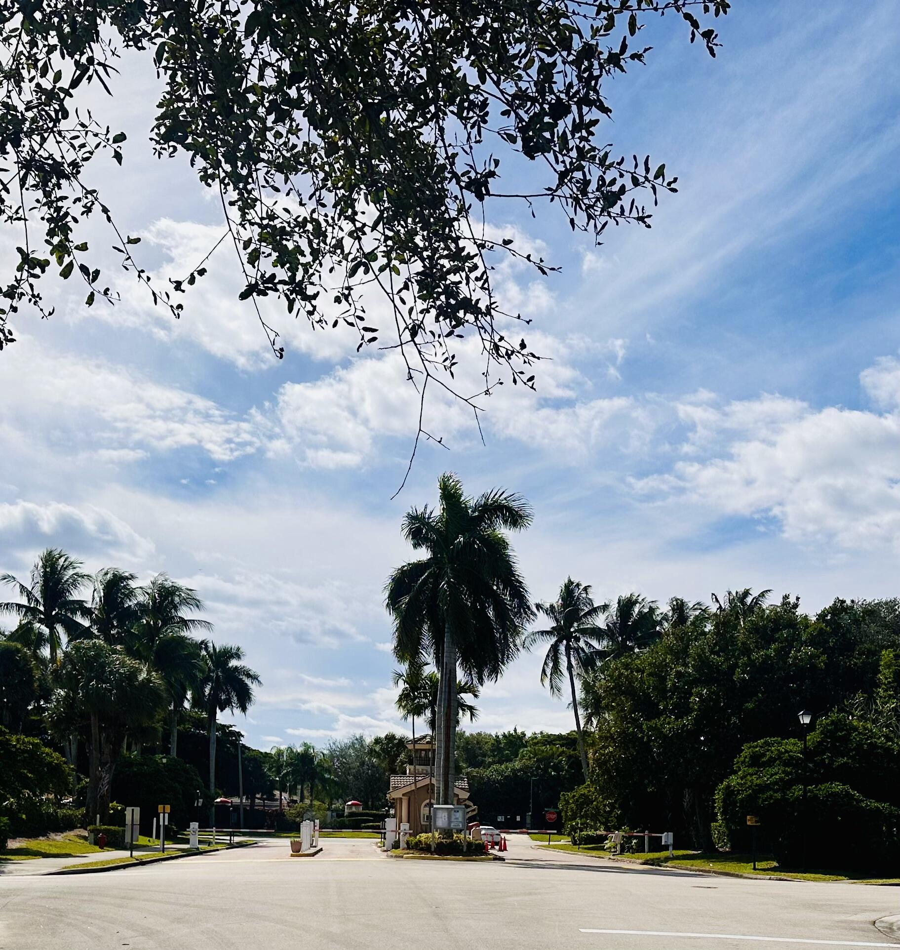 5200 Rising Comet Lane Greenacres, FL 33463 - Photo 50 of 50 a view of a parking space and palm tree