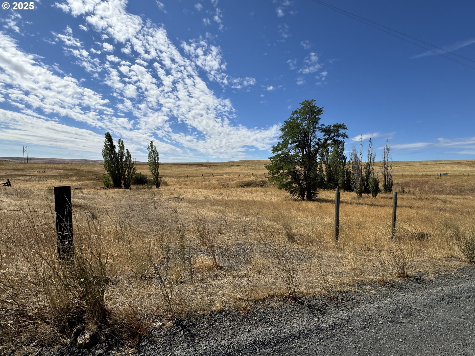 Niva Road Centerville, WA 98613 - Photo 1 of 7 a view of a yard with a tree