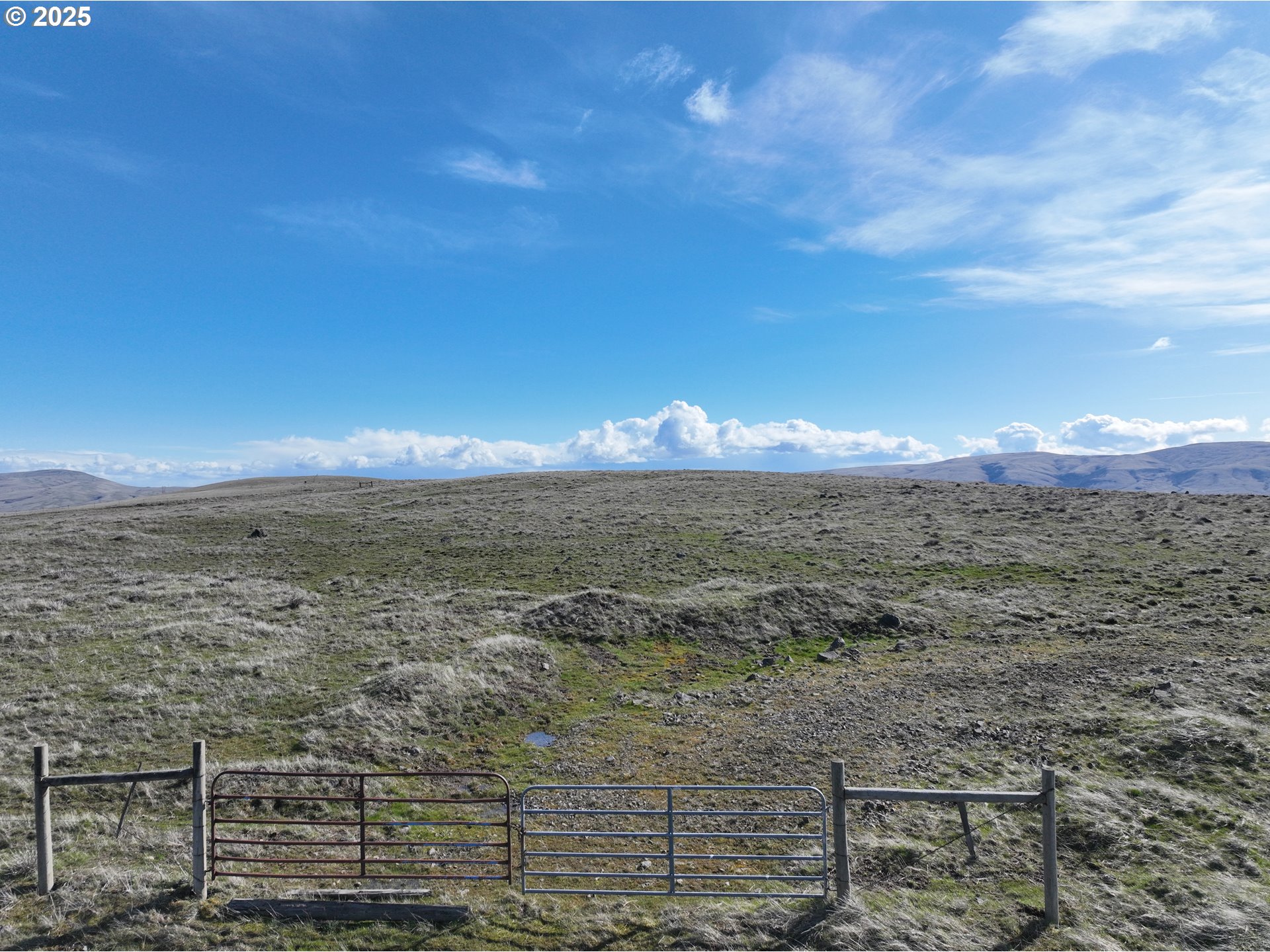 Niva Road Centerville, WA 98613 - Photo 4 of 7 a view of a city