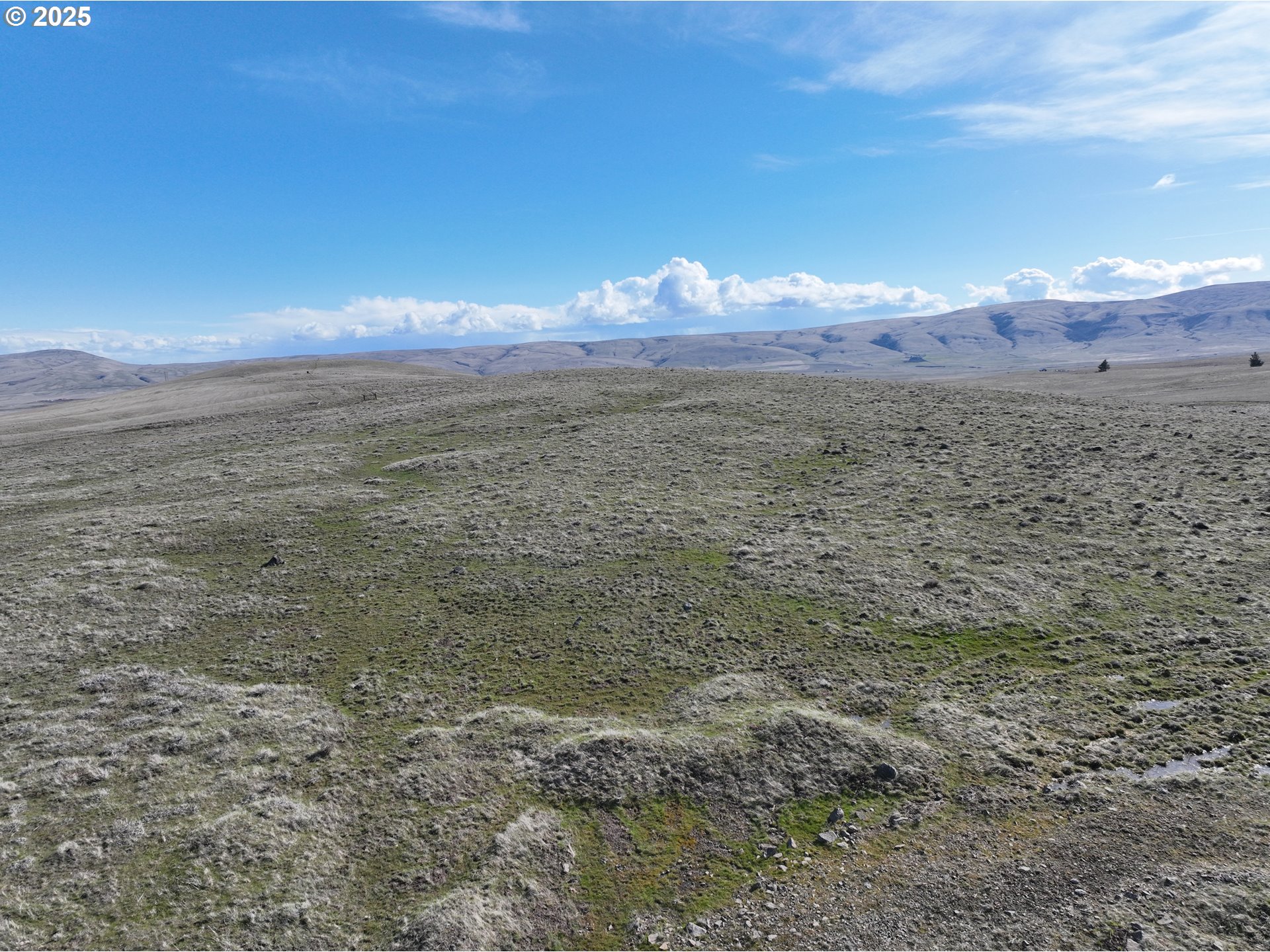 Niva Road Centerville, WA 98613 - Photo 5 of 7 a view of a city