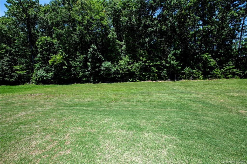 1452 Cilantro Court Tega Cay, SC 29708 - Photo 42 of 48 a view of a green field with trees in the background