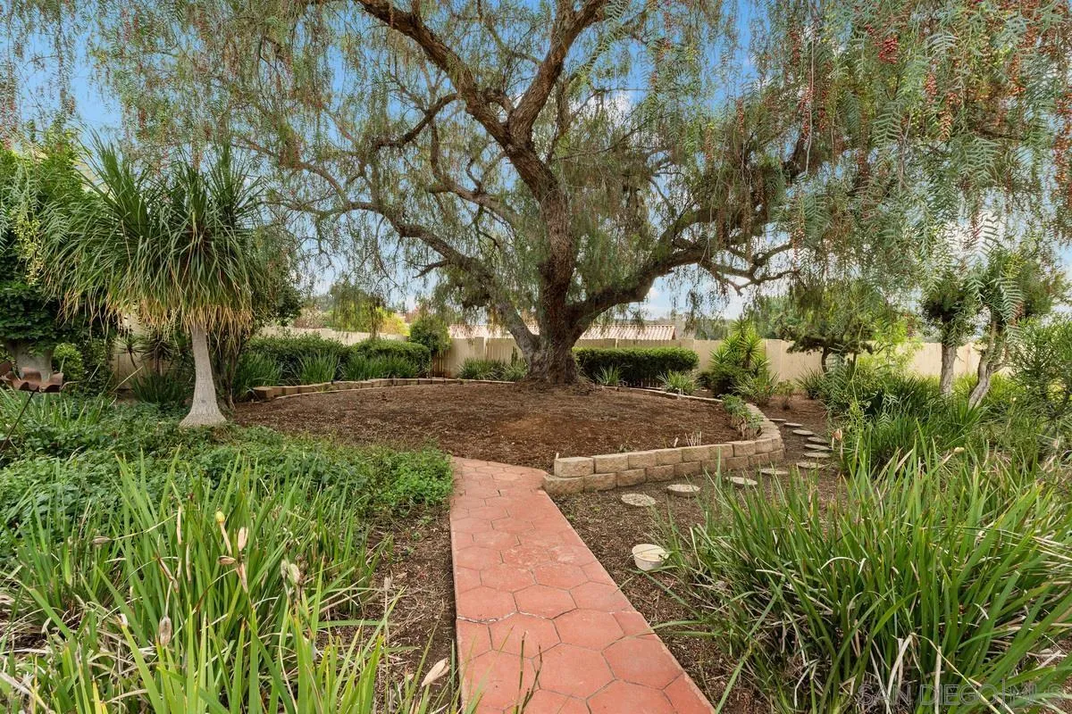 13767 Proctor Valley Road Jamul, CA 91935 - Photo 35 of 50 a view of yard with green space