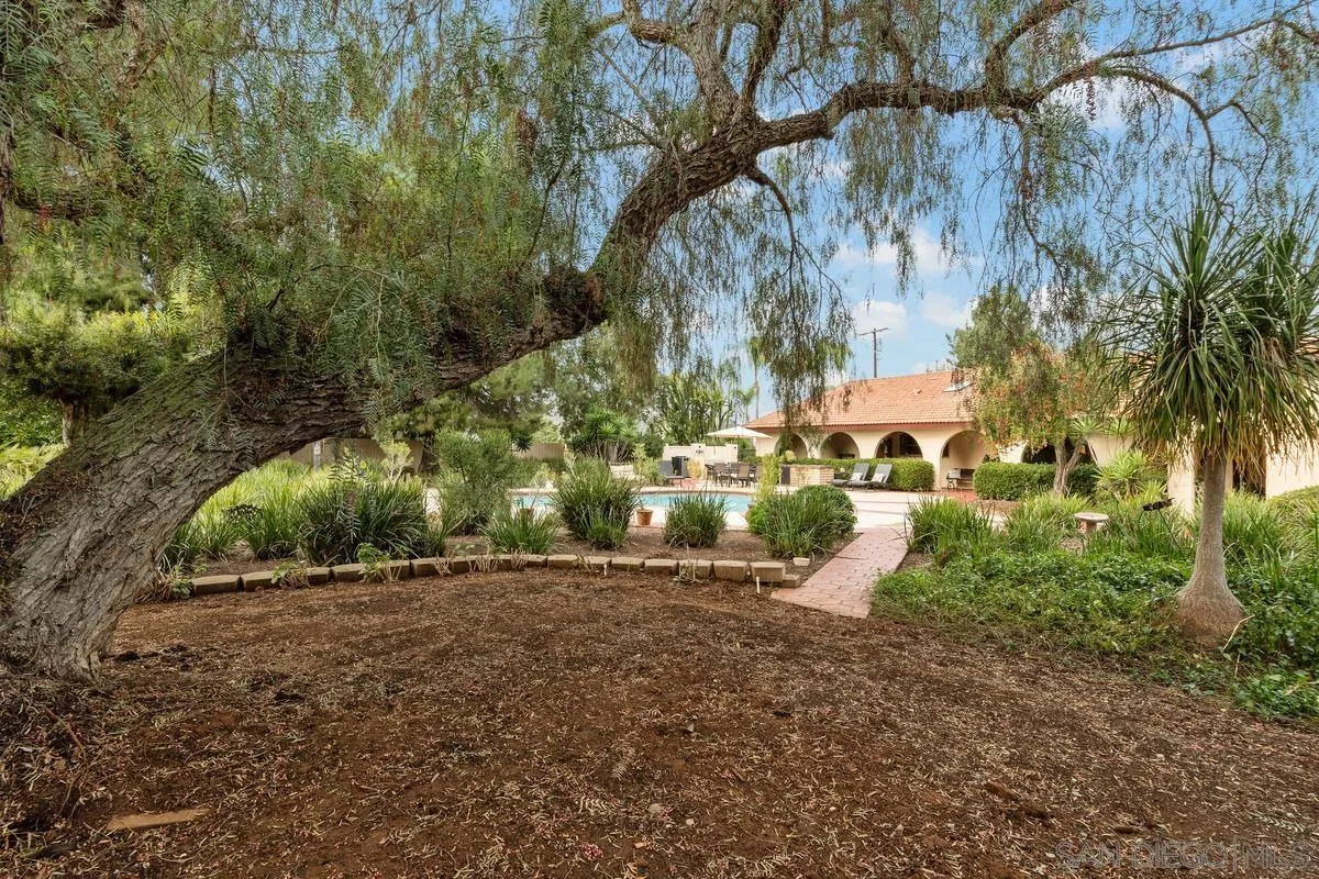 13767 Proctor Valley Road Jamul, CA 91935 - Photo 36 of 50 a view of outdoor space and yard