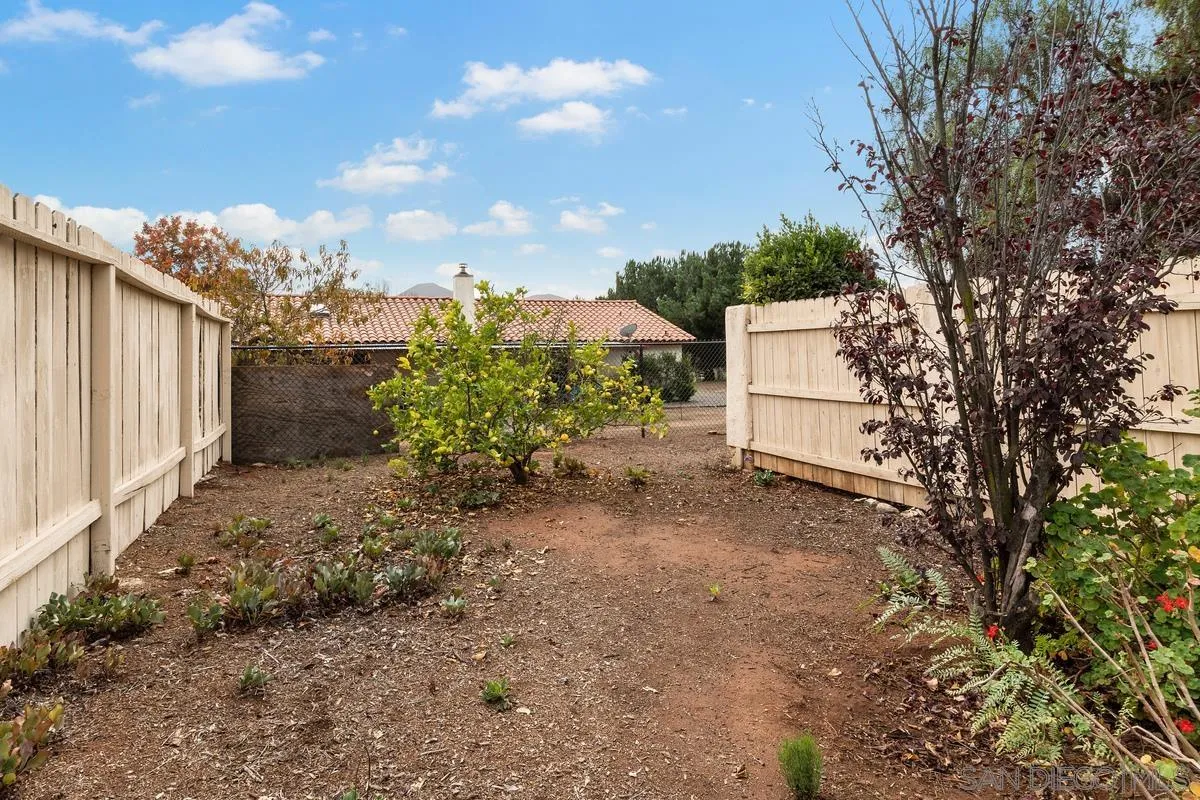 13767 Proctor Valley Road Jamul, CA 91935 - Photo 44 of 50 a view of a yard with plants and trees