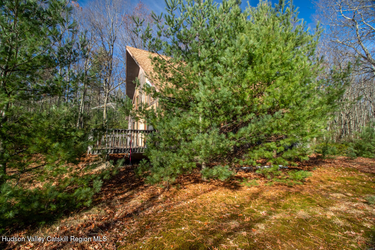 140 Stillerberg Strada Kerhonkson, NY 12446 - Photo 5 of 34 a view of a back yard