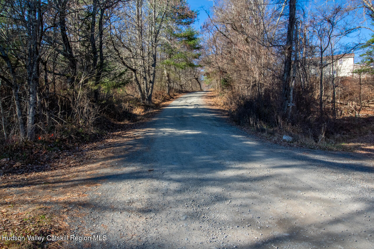140 Stillerberg Strada Kerhonkson, NY 12446 - Photo 8 of 34 a view of backyard with green space