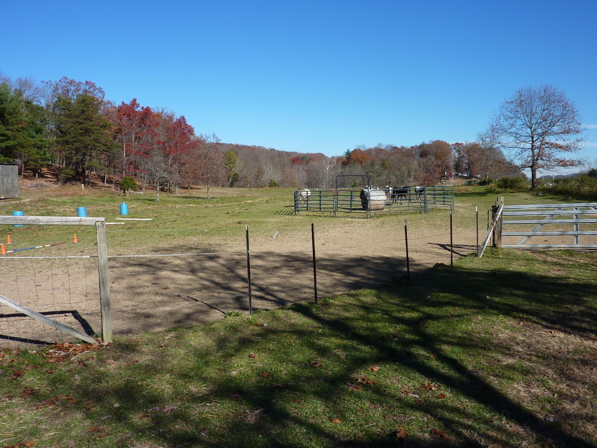 6422 Meacham Road Salem, VA 24153 - Photo 8 of 23 P1030038