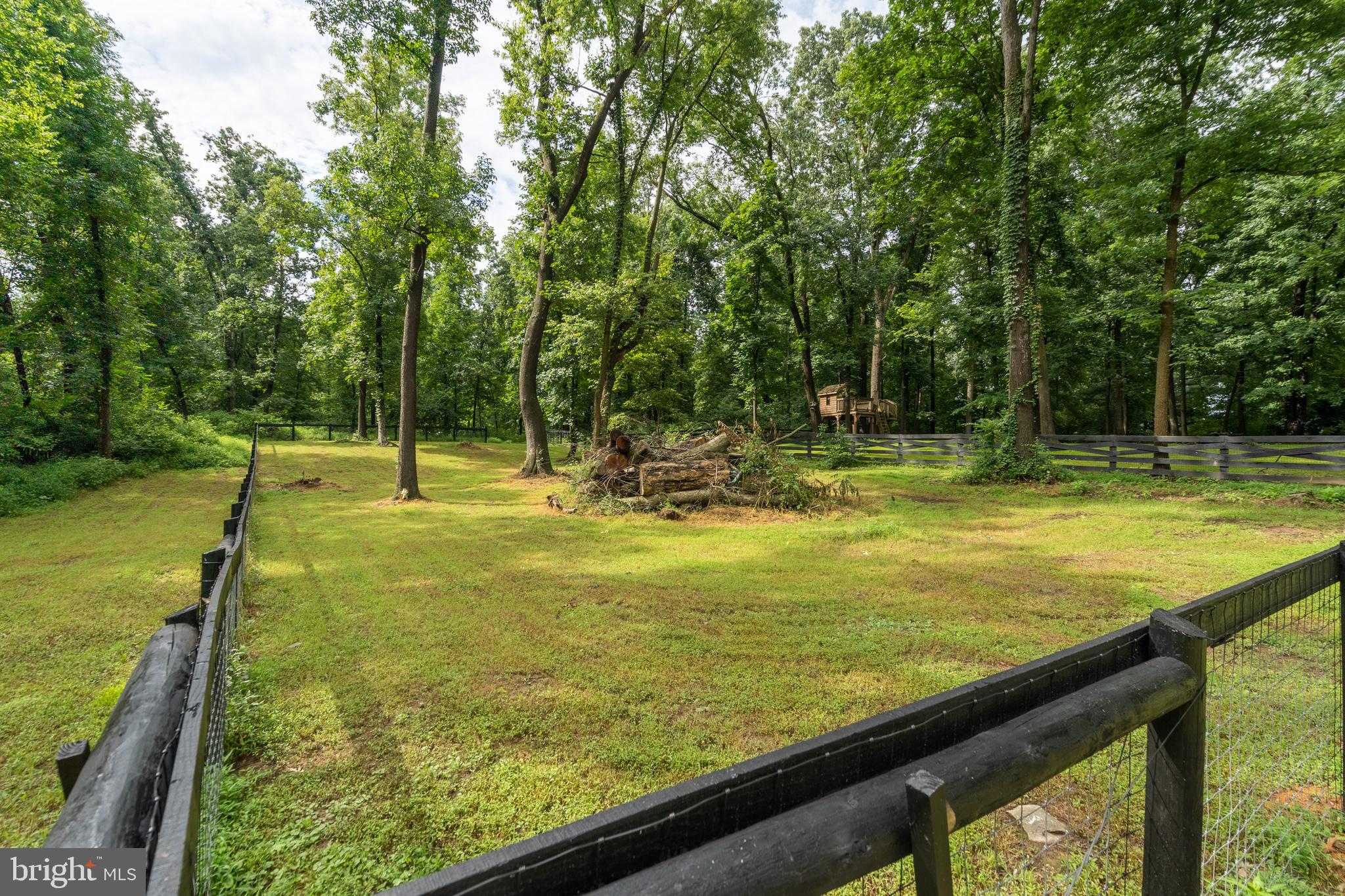 450 Berrys Ferry Road White Post, VA 22663 - Photo 33 of 125