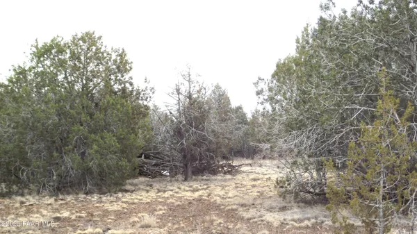$25,000 | 3581 Knoll Drive, Williams, AZ 86046