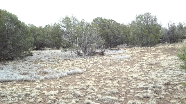 $25,000 | 3581 Knoll Drive, Williams, AZ 86046