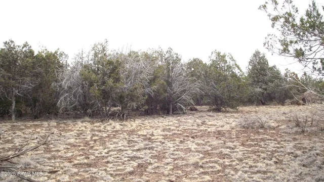 $25,000 | 3581 Knoll Drive, Williams, AZ 86046