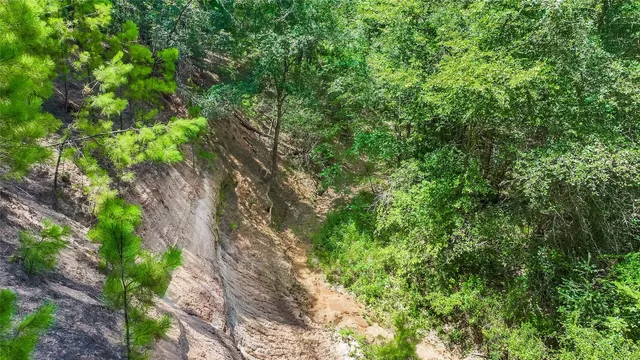 a view of an outdoor space with a tree