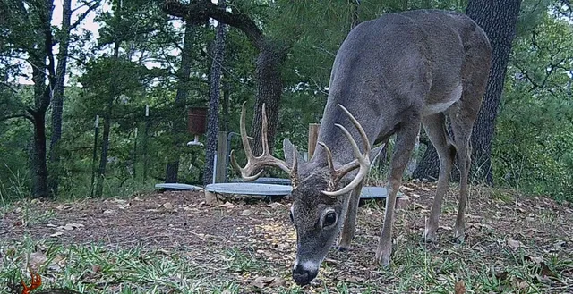a view of a lake view