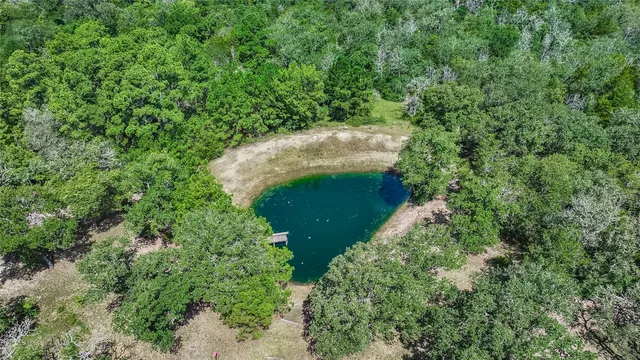an aerial view of a house with a yard and trees all around