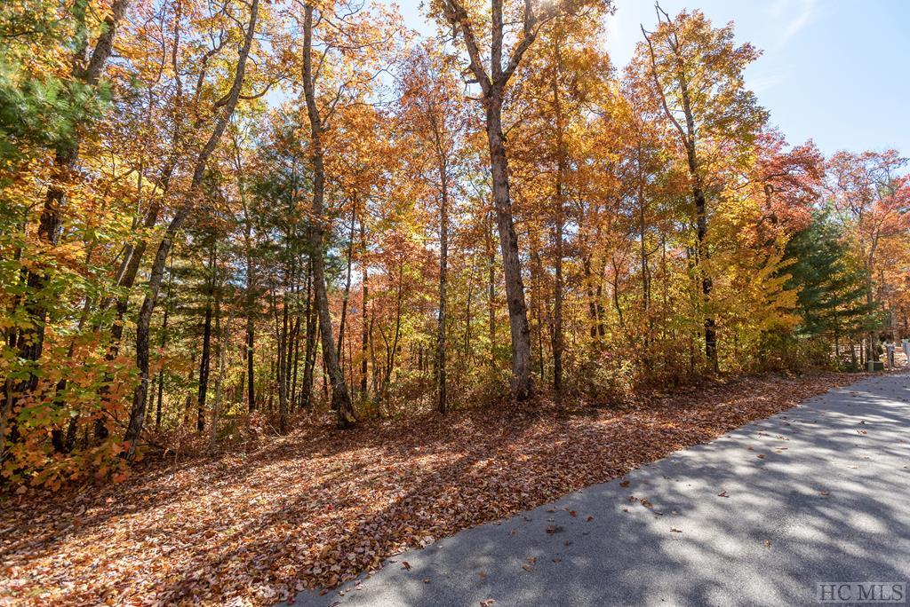 Lot 14 East Ridge Road Cashiers, NC 28717 - Photo 3 of 14 Gallery Image 3