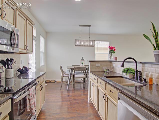 11950 Rodez Grove Peyton, CO 80831 - Photo 12 of 22 Gallery Image 12